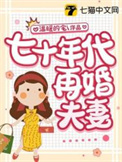 七零年代二婚妻子