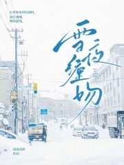 雪夜拥吻小说